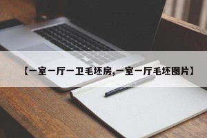 【一室一厅一卫毛坯房,一室一厅毛坯图片】