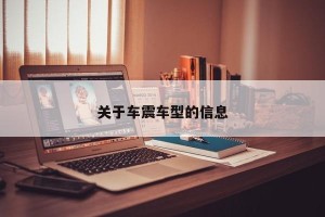 关于车震车型的信息