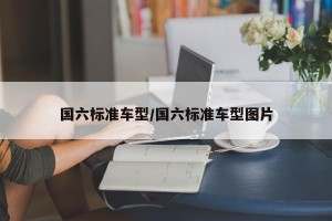 国六标准车型/国六标准车型图片