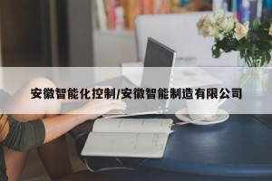 安徽智能化控制/安徽智能制造有限公司